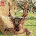 Zoo used aviary fencing( FACTORY PRICE)
